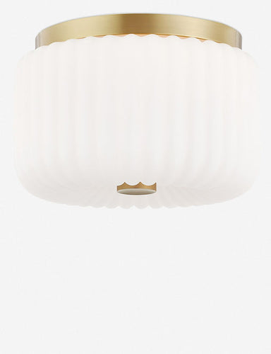 FLUSH MOUNT LIGHT